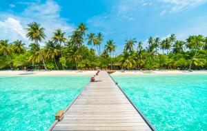 Une plage sous les tropiques