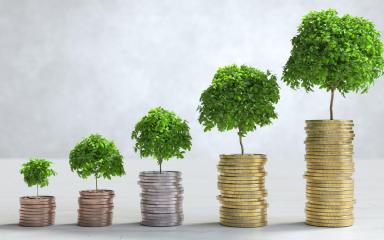  Des piles de pièces