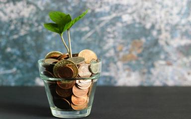 plante dans un verre plein de pièces de monnaie